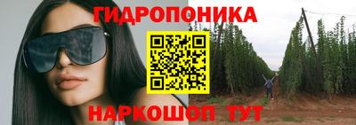 шишки Анжеро-Судженск
