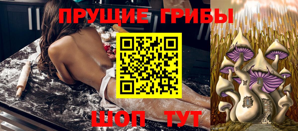 Галлюциногенные грибы MAGIC MUSHROOMS Азнакаево