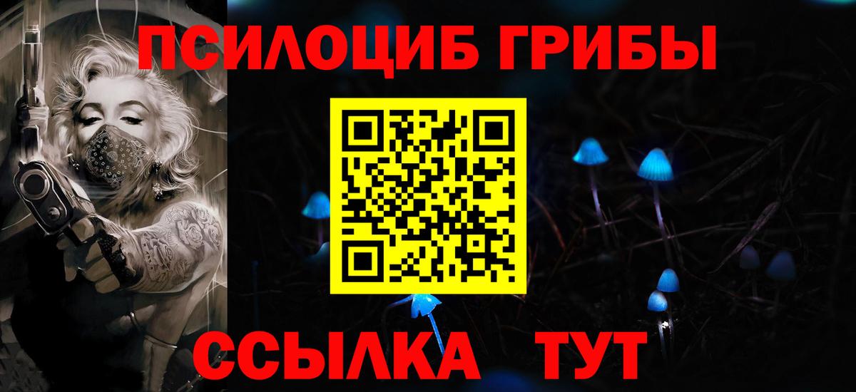 закладки  Псилоцибиновые грибы GOLDEN TEACHER  Азнакаево  Вход с VPN  Псилоцибиновые грибы мицелий 